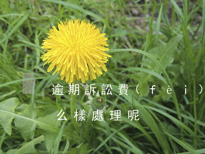 逾期訴訟費(fèi)不付會(huì)怎么樣處理呢？詳細(xì)解析與視頻知乎分享